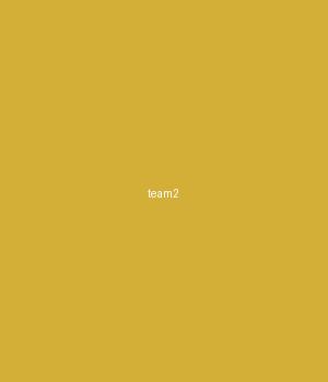 李明 - 技术总监