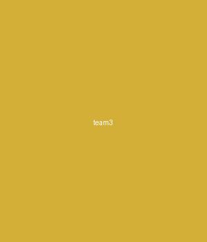 王芳 - 高级 UI 设计师